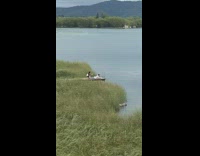 Collab IITW - Guy white shirt lay wood bridge lake