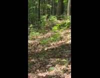 Woman show bouncy plant sway from wind