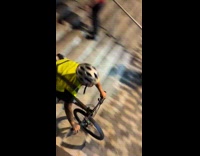 Collab Clips MPUGC - Biker on stairs falls over