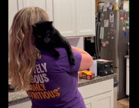 Cat loves being held lays on shoulder