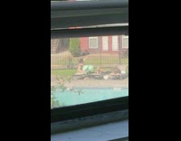 Woman in bikini tiktok dance on the poolside bed