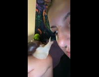 Collab Clips MPUGC - Pet snail gives hooman kisses 
