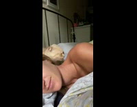 Cat laying on pillow by girl purrs 