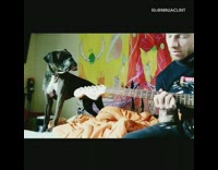 Rocky black dog sings along to guitar playing owner