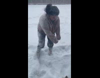 Woman accidentally hits dog when making snow angel