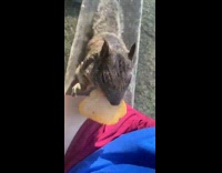 Collab BitchMP - Girl gives squirrel chip at park picnic table