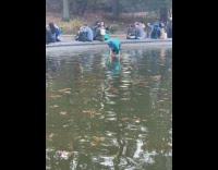 Man search for coins in water fountain