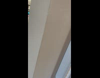 Woman plays hide and seek with her cat 