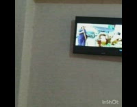 Two kittens lay down watch television couch 