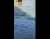 Two people swim in river next to kayak