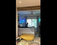 Girl makes bed around dog sitting down