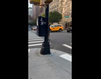 Man works out with dumbbells on road