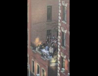 People sing to Mr. Brightside on rooftop 