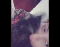 Cat licks girl laying down 