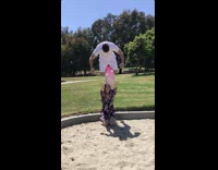 Gender reveal dad front flips over mom