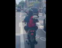 Blue shirt guy motorcycle red backpack dog