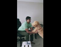 Guy ask for hug gets slapped by dog