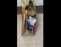 Condom box in Mcdonalds bag 