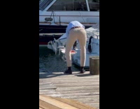 Man pictures lobster on plate at dock