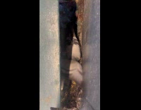 Three pigeon squeals side of subway stairs