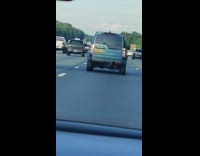 Lantern Fly on the windshield flies away on the highway