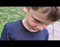 Giant leaf bug climbs onto boy head
