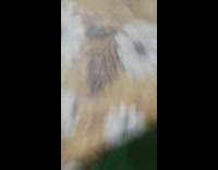 Mom screams baby girl spits up milk 