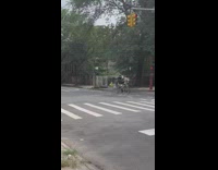 Man ride tandem bike with two skeletons