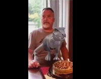 Dad blows candle on dinosaur filter