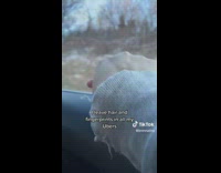 Lady Leaves Strand of Hair and Fingerprints in Car