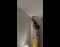 Guy holds up cat to wall to catch insect 