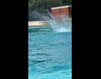 Woman slides down big tall water slide, backflips and cannonballs into pool 