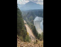 Tall tree fall down on the street
