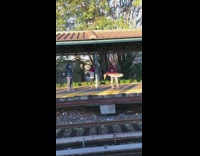 Old man straw hat red jacket holds big red fish at metro train station