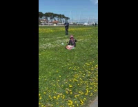 Woman photo shoot instax flower field public park