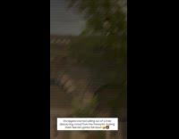 Man on tree branch during fireworks show