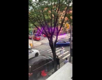 Blue car does donuts in front of NYPD