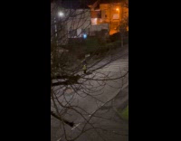 Man makes random noises to passerbys 