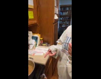 Collab Clips MPUGC - Father and daughter jokes about zesty soup