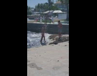 Girl bikini palm tree branch beach boyfriend