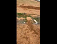 Guy ride bike down a slope crashes