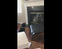 Dog barks at reflection in glass