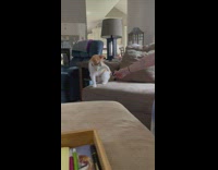 Pet cat plays and spins the fidget spinner