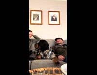 Couple favorite words black dog couch