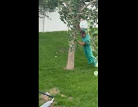 Man pushes tree from windstorm at backyard