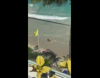 Girl pink bikini beach sand picture