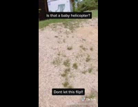 Little boy calls dragonfly baby helicopter 