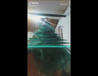 Girl shakes green hair christmas tree filter