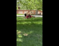 3 people do acrobatics at park 