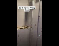 Guy sees poop smeared on building wall 